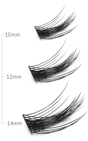 表示されているまつげの長さ - 10、12、14mm